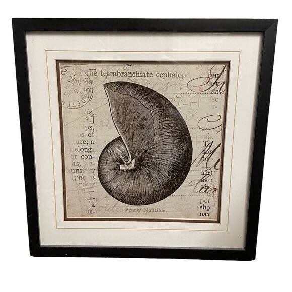Ocean Collection II by Sabine Berg Wall Art Print of the Pearly Nautilus - Picture 1 of 13